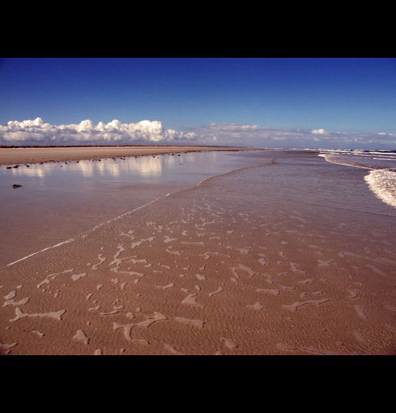 Little Talbot Island